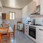 Il Canto Della Cicala