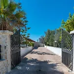 Il Canto Della Cicala *