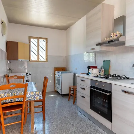 Il Canto Della Cicala