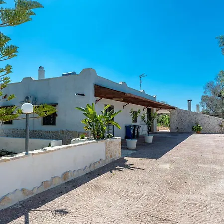 Il Canto Della Cicala *