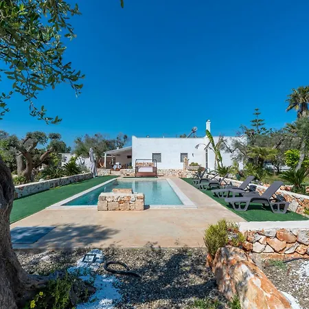 Il Canto Della Cicala