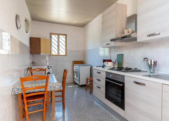 Il Canto Della Cicala