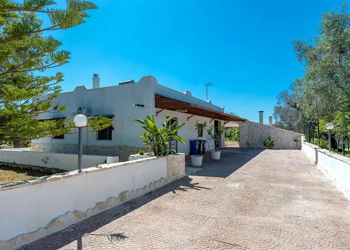 Il Canto Della Cicala *