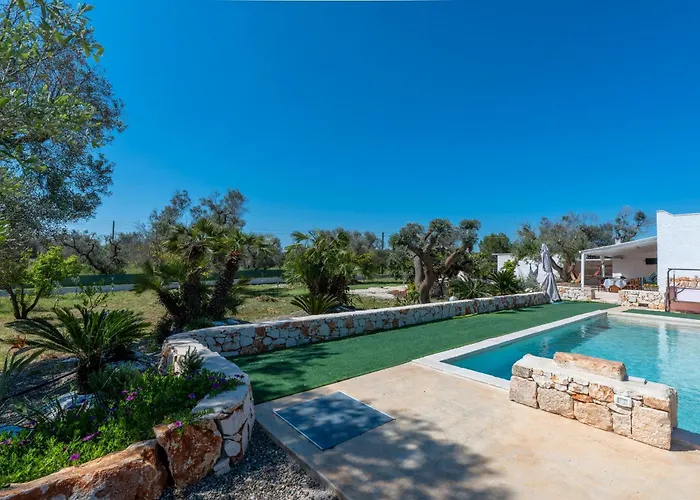 Il Canto Della Cicala