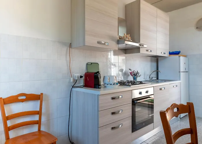 Il Canto Della Cicala *