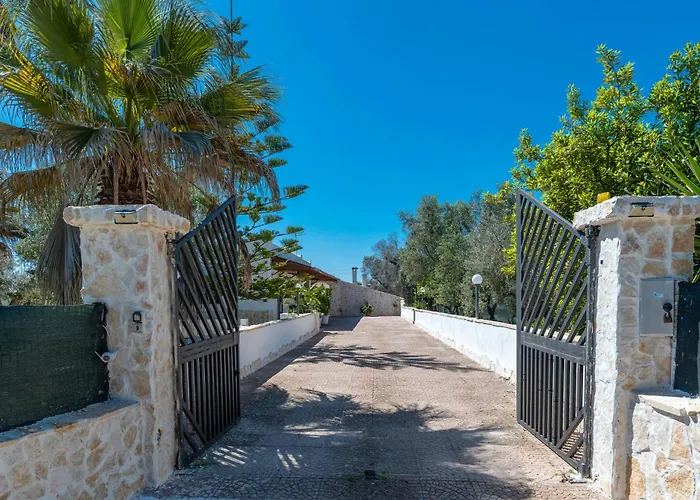 Il Canto Della Cicala *